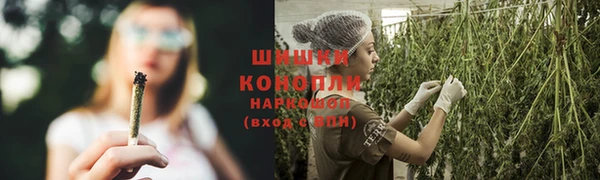 молекула духа Беломорск