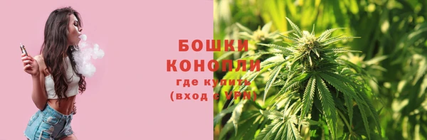 гидра Белокуриха