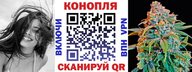 Каннабис конопля  Нерчинск 